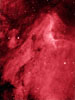 Pelican Nebula (IC 5070)